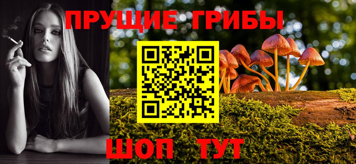 Псилоцибиновые грибы мухоморы Уссурийск