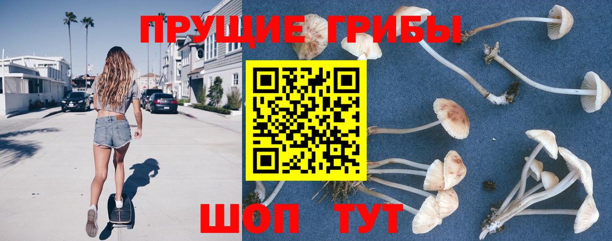Галлюциногенные грибы Cubensis  Вход с VPN  цена   Уссурийск  Псилоцибиновые грибы мухоморы 